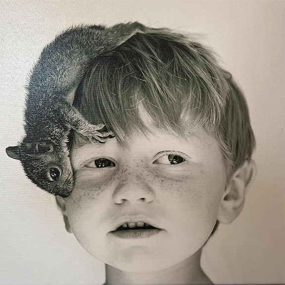 squirrel crawling down boy's head